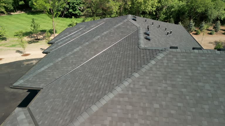 Best Sheet Metal Roofing  in Woodstock, VA